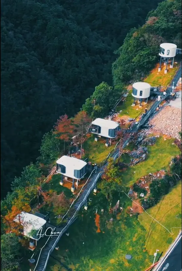 Cápsulas subindo a montanha entre as árvores